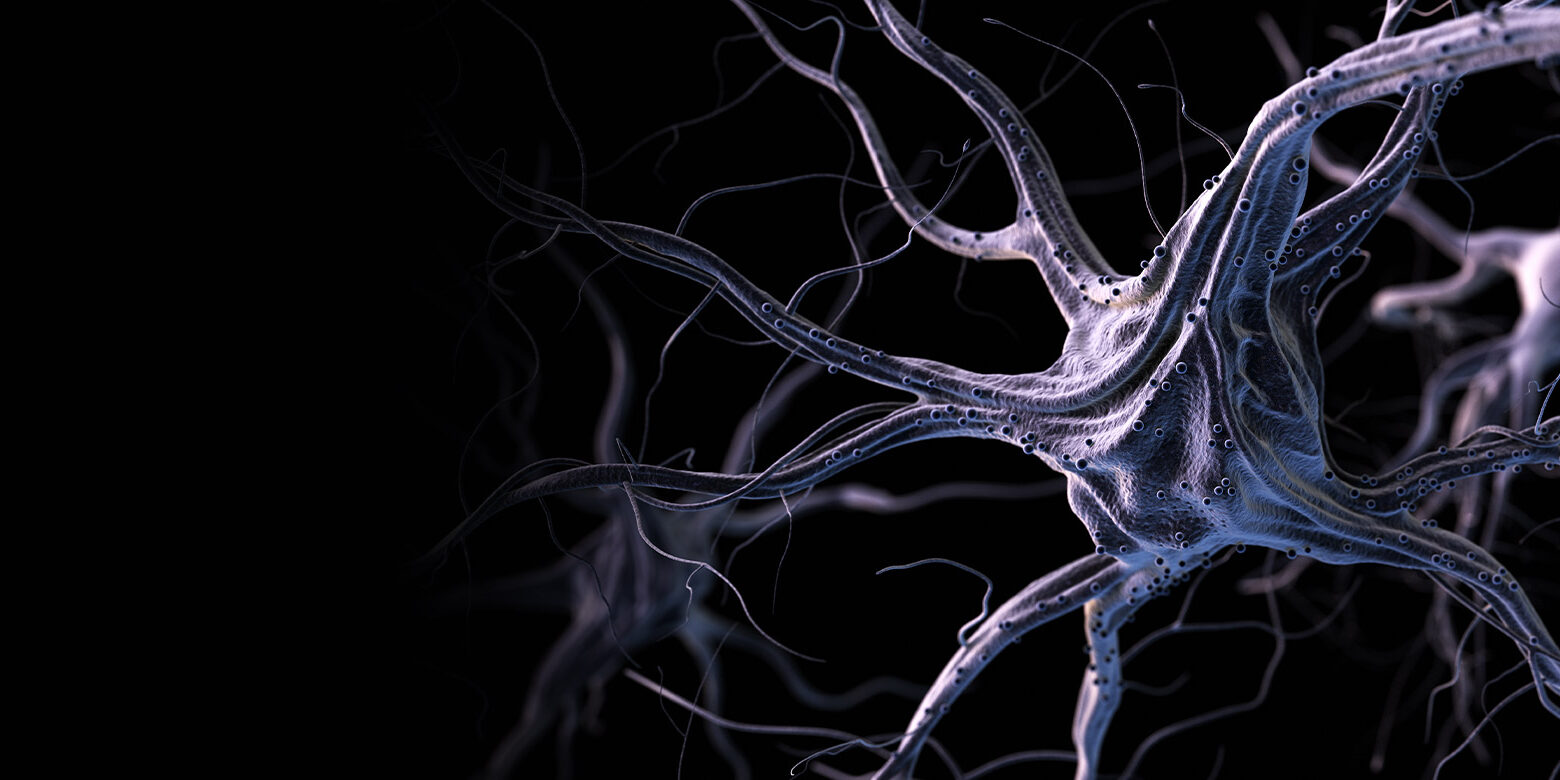 Slider_neurologia
